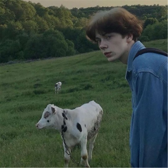 Meet your Posher, Nicole - Picture 1 of 1